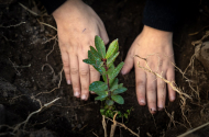 Aumenta número de eco-escolas em Braga