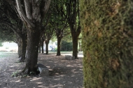 Parque de lazer Guadalupe - imagem #6