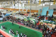  EVENTS - image #7