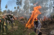 Bombeiros Municipais - imagem #15