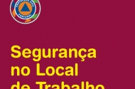 Segurança no Local de Trabalho