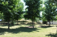 Parque da Mamôa - imagem #2