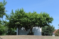Monte de São Filipe - imagem #2