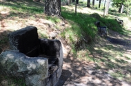 Parque da Nascente do Rio Este - imagem #10