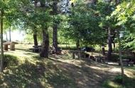 Parque da Nascente do Rio Este - imagem #6