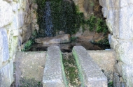 Parque da Nascente do Rio Este - imagem #5