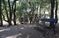 Park of Barral