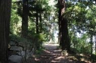 Parque de Montariol - imagem #8