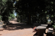 Parque de Montariol - imagem #5