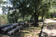Santa Marta das Cortiças