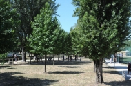 Parque da Rodovia - imagem #6