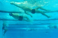 Programa “Os Piratas Vão à Piscina”
