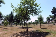 Parque de Lazer da Bouça de Gerizes - imagem #6
