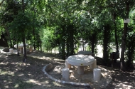 Parque de Lazer e Merendas de Cunha - imagem #7