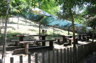 Parque de Lazer e Merendas de Cunha - imagem #11