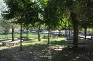 Parque de Merendas de Espinho  - imagem #2