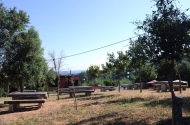 Parque de merendas do Monte de N. Srª da Consolação - imagem #4