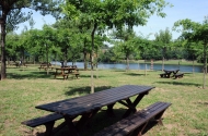 Parque de merendas de Padim da Graça - imagem #1