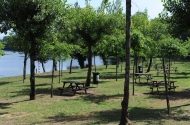Parque de merendas de Padim da Graça - imagem #5