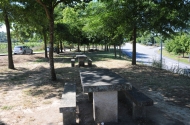 Parque de merendas de Palmeira - imagem #4