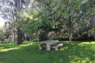 Parque de Merendas (Capela Sr.ª de Fátima) - imagem #4