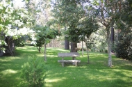 Parque de Merendas (Capela Sr.ª de Fátima) - imagem #5
