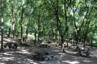 Parque de Merendas do Sameiro - imagem #1