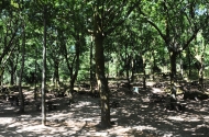 Picnic Park of the Sameiro