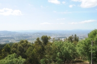 Parque de Merendas do Sameiro - imagem #9
