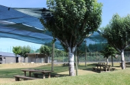Parque de merendas de Tadim - imagem #2