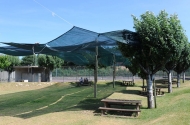 Parque de merendas de Tadim - imagem #4