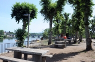 Parque de Merendas de Merelim S. Paio - imagem #6