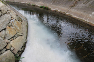 Denúncias e verificações sobre o rio Este refletem compromisso com o meio ambiente - imagem #2