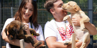 Encerramento do Programa de Voluntariado “Verão Animal”
