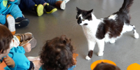 Projecto ‘Escola Amiga dos Animais’ abrange 2500 crianças do Concelho em 2024