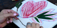 Município de Braga envolve mais de 21 mil participantes em iniciativas de educação ambiental