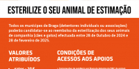 Município investe 20 mil euros em Campanha de Apoio à esterilização de animais de companhia