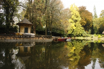 Environment