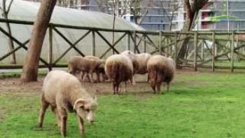 Desenvolvimento Rural
