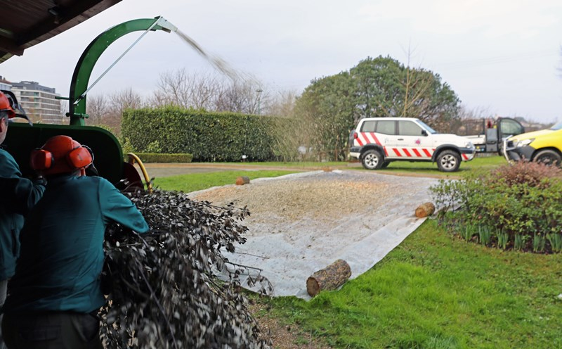 Projecto Cuidar Braga ´triturou´ 106,20 toneladas de resíduos agrícolas e florestais