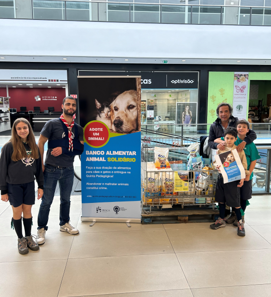 Banco Alimentar Animal recolhe ração para cães e gatos