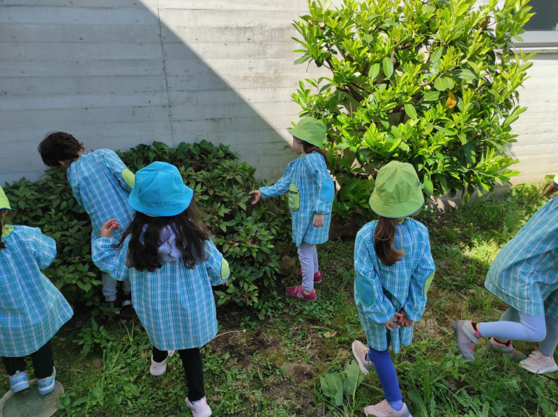 Programa ambiental desafiou crianças de Braga a explorar recreios das escolas