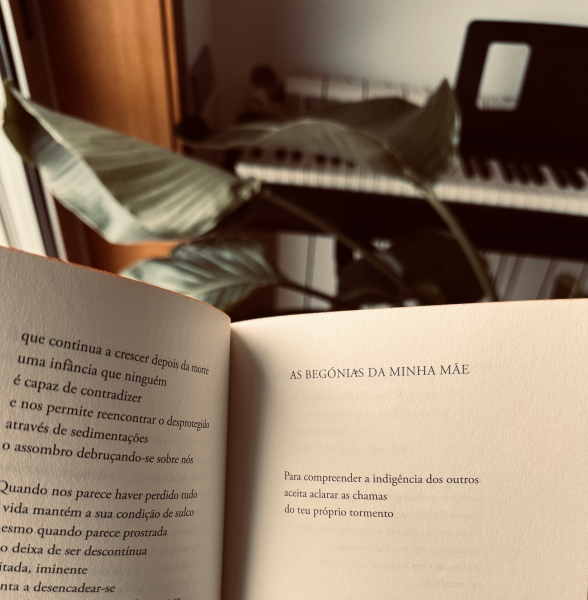 Programa de Mediação Cultural do Município de Braga promove clube de leitura mensal