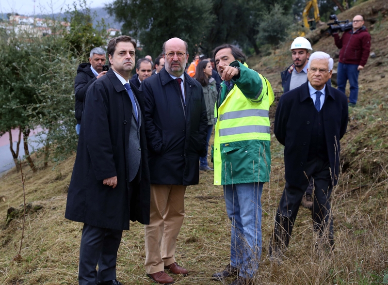 Duas mil novas árvores plantadas no Monte Picoto