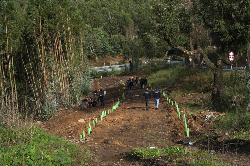 Município e CAM compensam emissões de CO₂ da Rampa da Falperra com plantação de 250 árvores