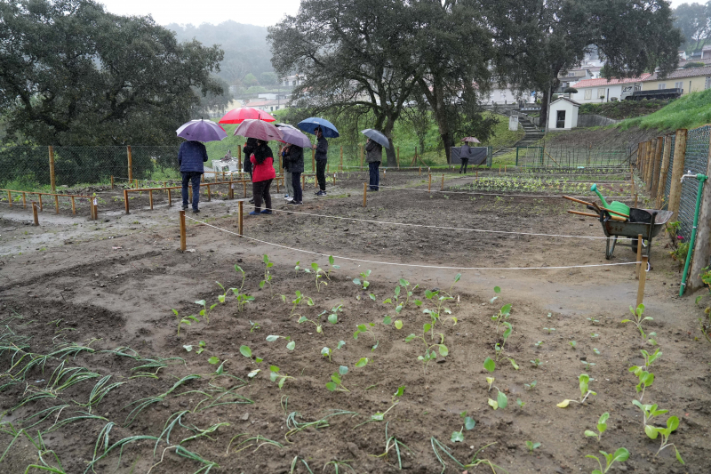 Bairro Nogueira da Silva inaugura Hortas Comunitárias