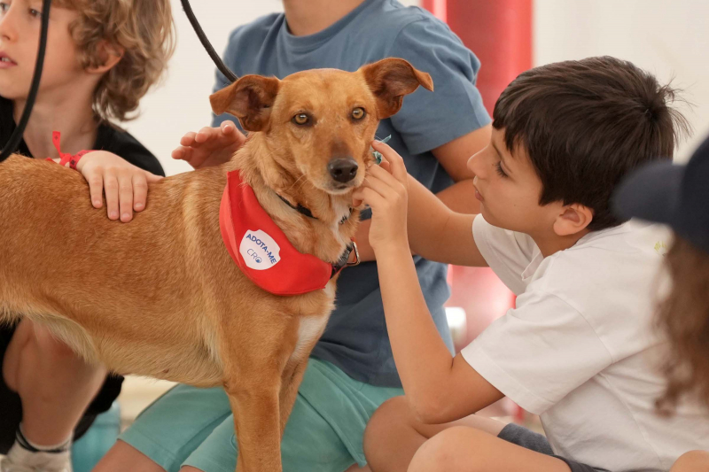 Programa “Voluntaria-te” encerra edição da Páscoa com ações de sensibilização para o bem-estar animal