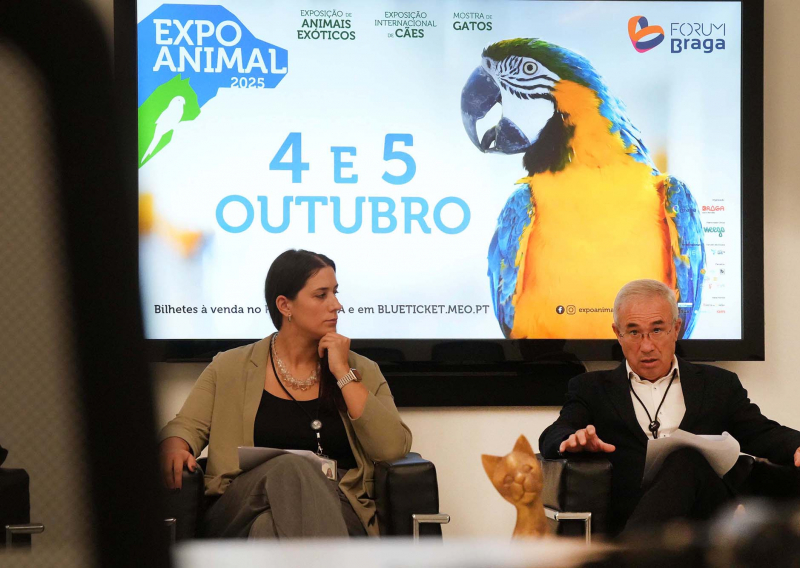 13.ª edição da Expo Animal traz cerca de 1.000 cães, uma mostra felina e atividades educativas para toda a família