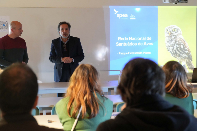 Monte Picoto será integrado na Rede Nacional de Santuários de Aves 