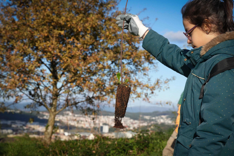 Florestar Braga consolida transformação ambiental com ampla participação comunitária